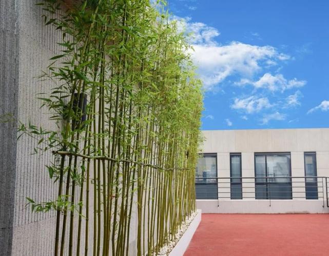 振威展览北京新址落成 现代企业管理制度建设步入"快车道"