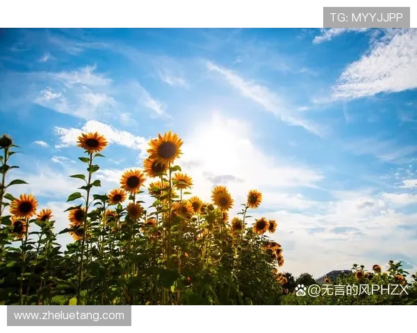 大自然在说话：倾听万物的低语，唤醒内心的宁静